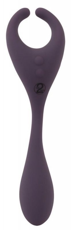 CC RC Couple's Vibr Boss of toys