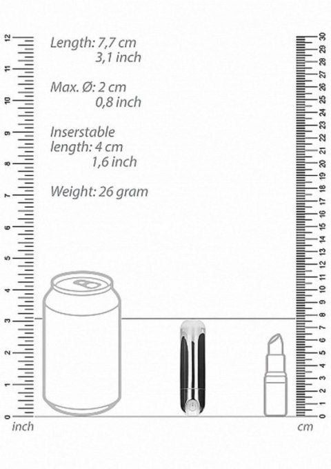 10 Speed Rechargeable Bullet - Silver Boss of toys