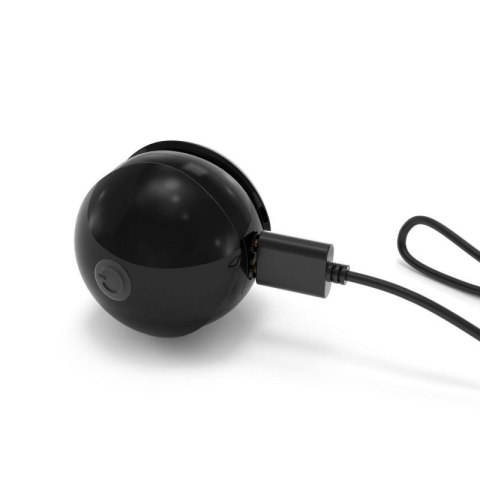 TRAINING BALLS Boss of toys