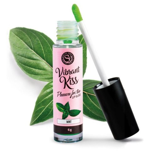 LIP GLOSS VIBRANT KISS MINT Boss of toys