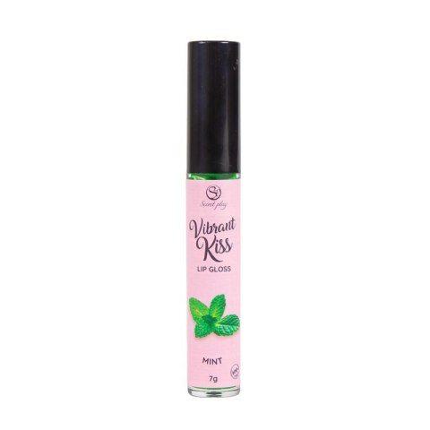 LIP GLOSS VIBRANT KISS MINT Boss of toys
