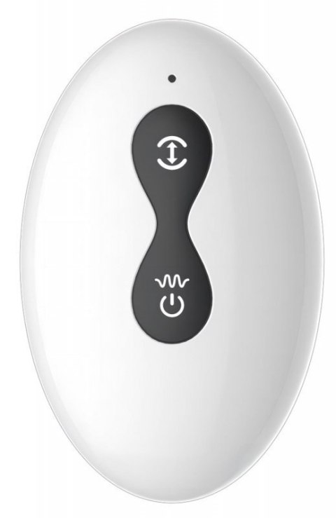 Dual tapping anal vibrator Boss of toys