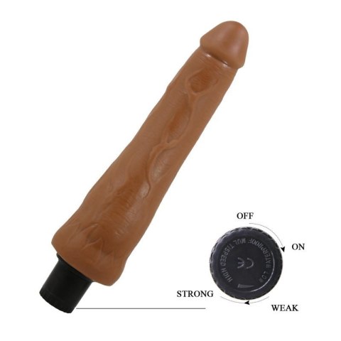 BAILE - Alfredo, 8.8"(250mm) Sliding Skin, Vibration Boss of toys