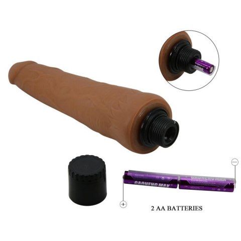 BAILE - Alfredo, 8.8"(250mm) Sliding Skin, Vibration Boss of toys