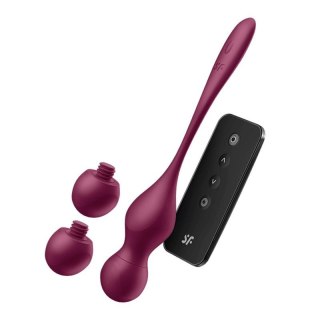 Love Birds Vary Connect App Boss of toys