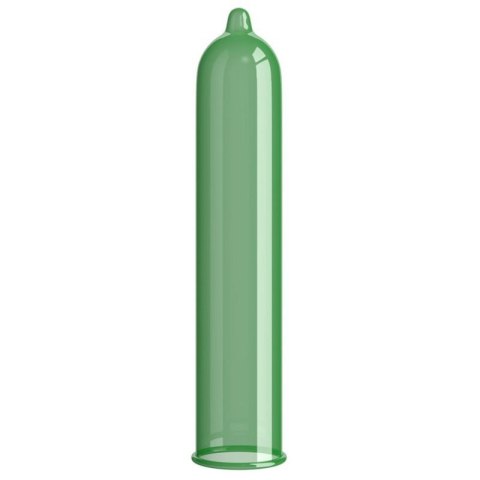 Pasante Mint Tingle Condoms Bulk Packs 144 psc Boss of toys