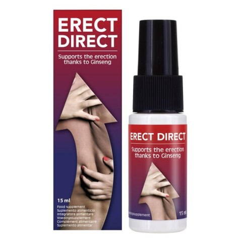Erect Direct Boss of toys