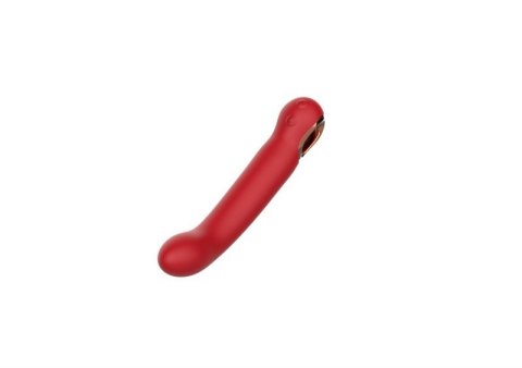 Feminism Vibrator Boss of toys