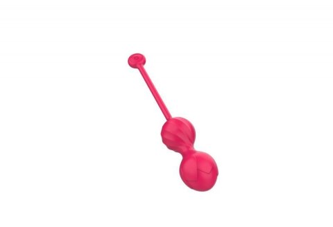Lovesecret Premium Love Balls App Function Boss of toys