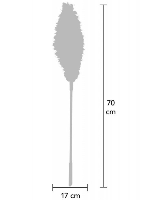 Double Feather Tickler Black Boss of toys