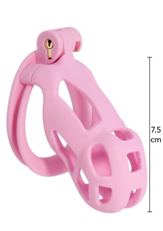 Penis Prison Cock Cage Regular Pink Hidden Desire