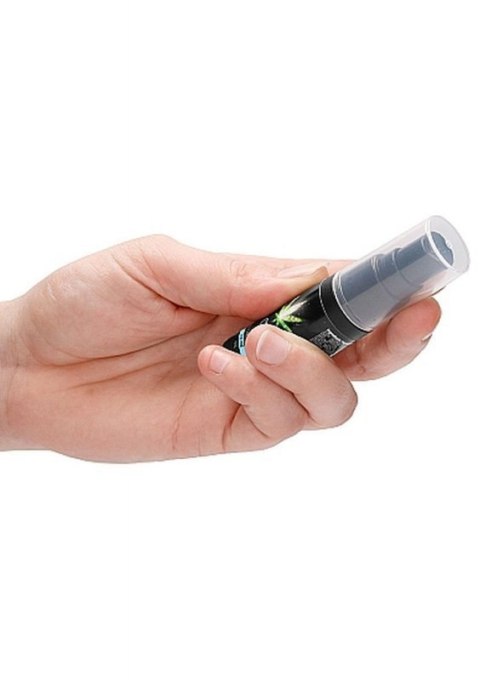 CBD Cannabis Pheromone Stimulator For Him - 15ml Boss of toys