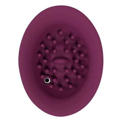 Twitch 3 - Rechargeable Vibrator & Suction - Silicone - 10 Speed - Burgundy SHOTS