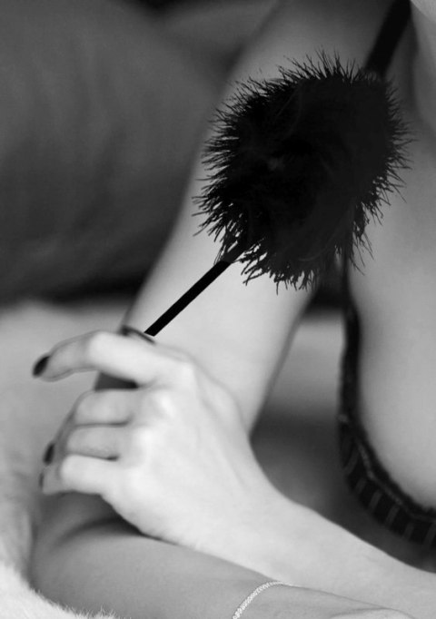 Feather Tickler Boss of toys