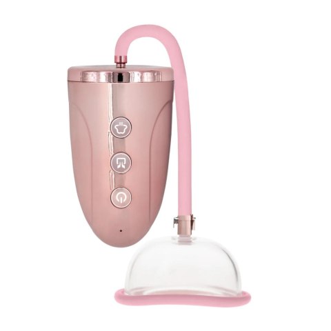 Rechargeable Pussy Pump Pumped