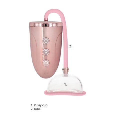 Rechargeable Pussy Pump Pumped