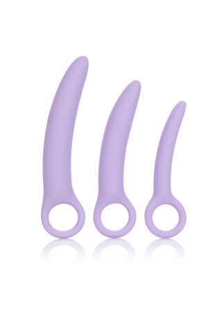 Alena Set of 3 Dilators Purple SCALA