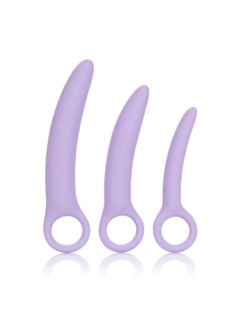 Alena Set of 3 Dilators Purple SCALA