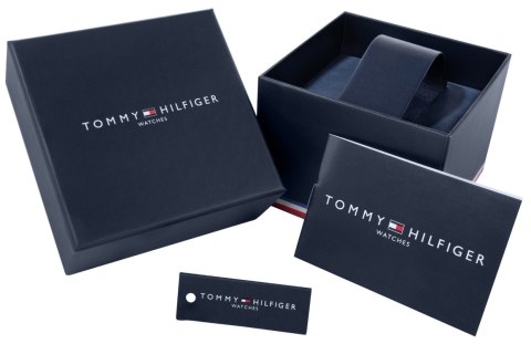 Zegarek Męski Tommy Hilfiger Ashton 1791740 + BOX Tommy Hilfiger
