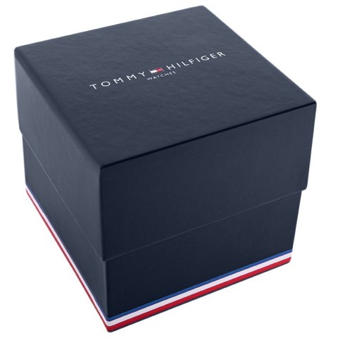 Zegarek Męski Tommy Hilfiger Ashton 1791740 + BOX Tommy Hilfiger