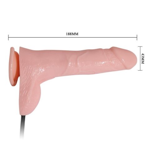 BAILE- INFLATABLE BAILE