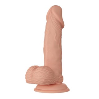 BAILE-Beautiful Zebulon 7.6"""" BAILE