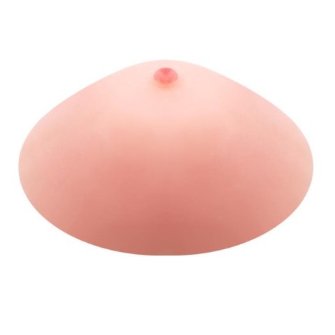 BAILE - the True Breast BAILE