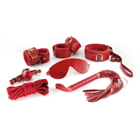 CRUSHIOUS DUNGEONS & MAIDENS BDSM KIT RED Crushious
