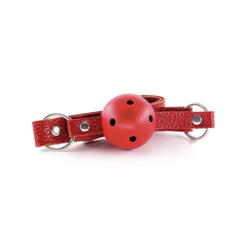 CRUSHIOUS DUNGEONS & MAIDENS BDSM KIT RED Crushious