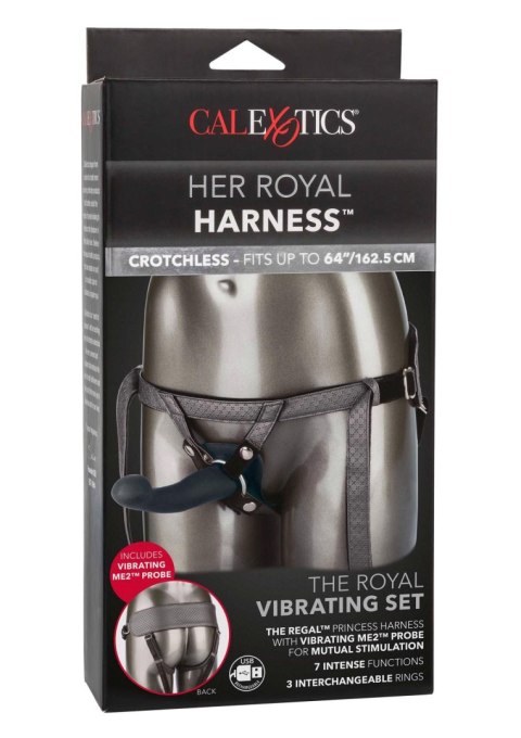 The Royal Vibrating Set Grey SCALA