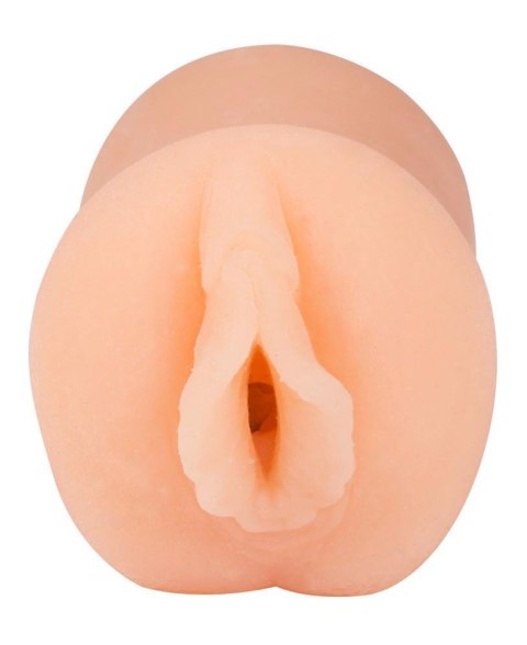 Pussy Aggie ORION