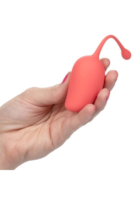 Kegel Training Set Mango Assortment SCALA