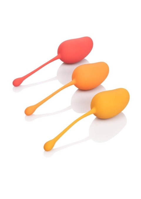Kegel Training Set Mango Assortment SCALA