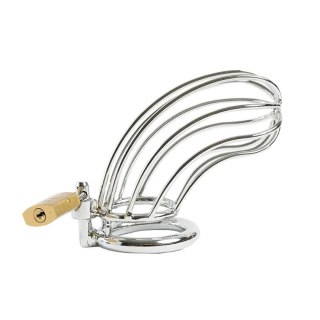 Cock cage made of 100% stainless steel Fantasy - Boys of Toys Sp. z. o.o. (dystrybutor)