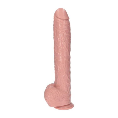 Dildo-Italian Cock 15.5""Flesh MSX Distribution S.r.l.