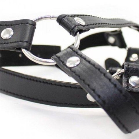 Knebel-Imbracatura per testa con anello Head Harness+Ring Gag MSX Distribution S.r.l.