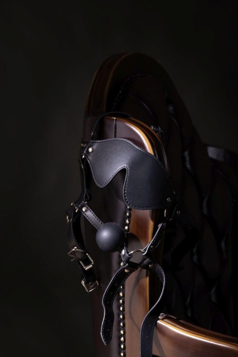 Blindfolded Head Harness with Solid Ball Gag - Black SHOTS