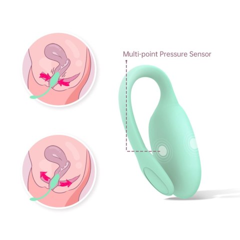 Magic Motion - FitCute Kegel Rejuve Eropartner - INTERSLASH B.V.