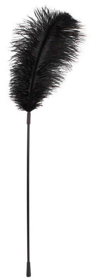 Piórko do łaskotania Bad Kitty czarne 38 cm Bad Kitty