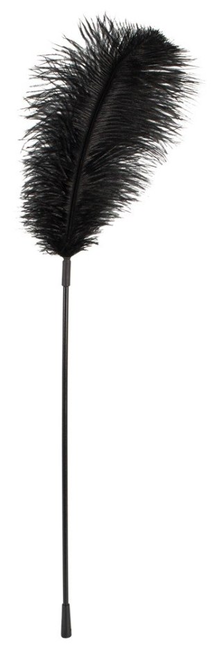Piórko do łaskotania Bad Kitty czarne 38 cm Bad Kitty