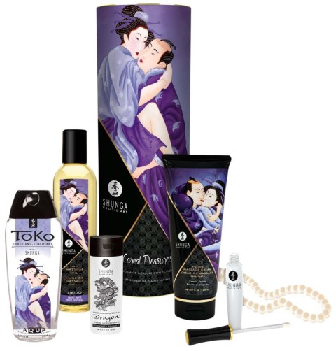 Zestaw Shunga Carnal Pleasures z naszyjnikiem z perły Shunga
