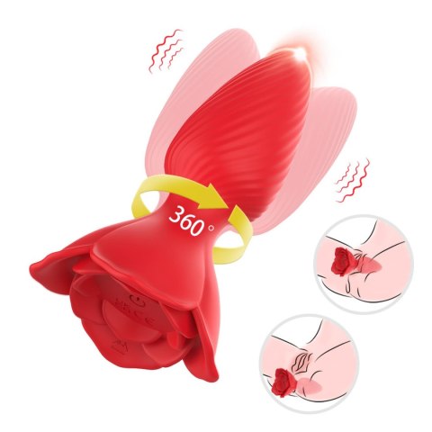 Honey Jelly B - Series Joy