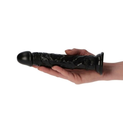 Dildo-Italian Cock 6,5""Black MSX Distribution S.r.l.