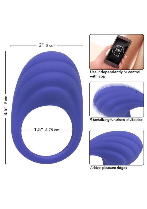 Calex Connect Couples Ring Purple SCALA