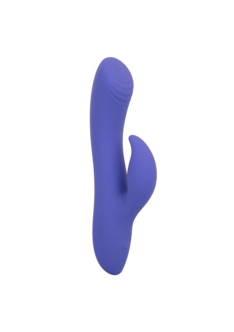Calex Connect Dual Stimulator Purple SCALA