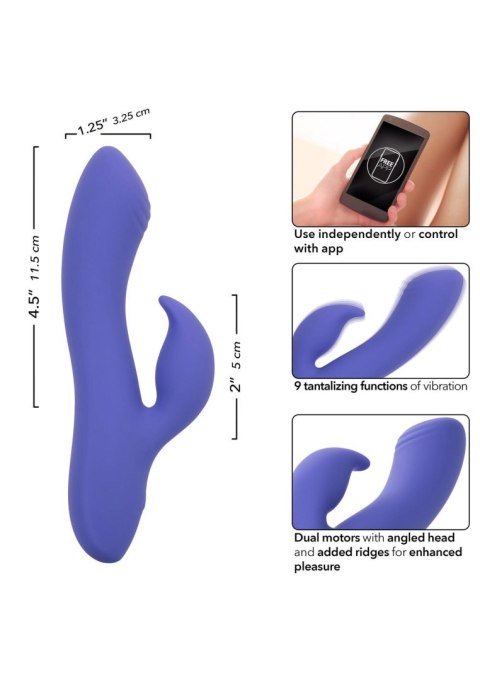 Calex Connect Dual Stimulator Purple SCALA