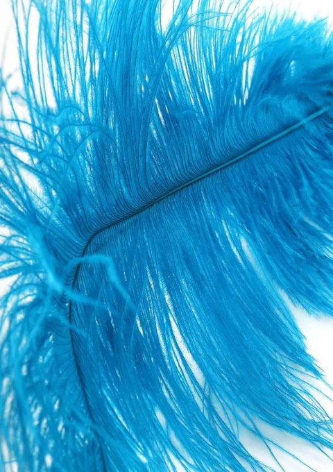 Double Feather Tickler Blue SCALA