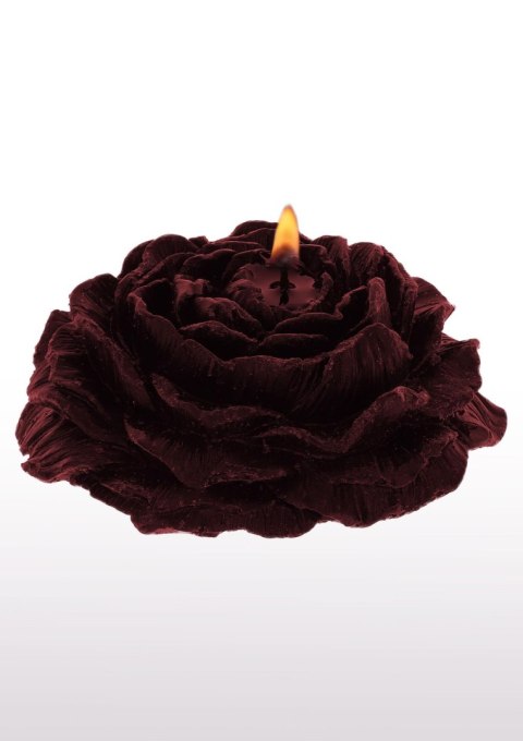 Rose Japanese Drip Candle 2pcs Red SCALA