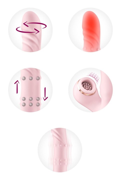 Classy 5-in-1 rabbit vibrator Concorde - SAS EDITIONS CONCORDE