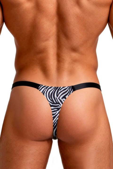 Sexy men's thong with zebra print S/M Concorde - SAS EDITIONS CONCORDE